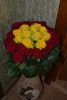 DSC_0391.thumb.JPG.662b5a28e86022eb440c8d12c793c650.JPG