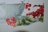 DSC_0394.thumb.JPG.a42b52210170baab06dd0e0b8c0f6f8b.JPG