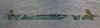 DSC_0569.thumb.JPG.e56d5583cffa78b9f816631c9f3c3325.JPG