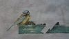 DSC_0574.thumb.JPG.b1c9fa4a82d5ecd417303578316f3872.JPG