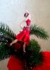 DSC_1894.thumb.JPG.ea61b66927ef59f287736ea23368d0e2.JPG