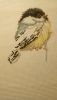 IMG-20170410-WA0003.jpeg