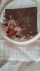 IMG-20170516-WA0001.jpg