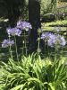 IMG_1142.thumb.JPG.080cd1ec6e92492a38dafe983469b22d.JPG
