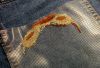 IMG_20170502_171455_353.jpg