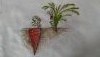 IMG_20170502_175005.thumb.jpg.bf1ba45cc65a3fdcaeb58f5cabbbdef0.jpg?1493744969186