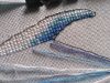 IMG_20170507_191625.jpg