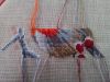 IMG_20170508_153520.jpg