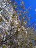 IMG_20170514_134236.thumb.jpg.0d517fd54993faf02f883b94524ea2bd.jpg