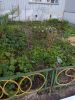 IMG_20170514_145654.thumb.jpg.5fae5f945c568ad592614bcd0514830e.jpg