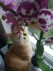 IMG_20170517_174934.thumb.jpg.6f7458586293b978be9910fd0342254d.jpg