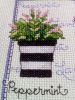 IMG_20170518_095925.thumb.jpg.df0be4cede915cfab4a8e62a92cf5eaf.jpg