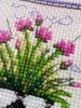 IMG_20170518_095949.thumb.jpg.2002a34a4ac66ddf42b9505d7ef25617.jpg