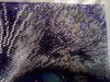 IMG_20170519_221614.jpg