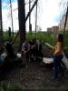 IMG_20170520_152554.thumb.jpg.f08803e8dbf5e7a85704b65b3db9213c.jpg