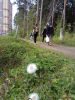 IMG_20170520_163719.thumb.jpg.d0dc1a287d725fa6b1850f9ac2dd2ce4.jpg