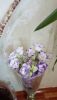 IMG_20170523_170323.thumb.jpg.fa74fac802d16ae25c228f6a5b38d427.jpg