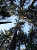 IMG_20170527_173625.thumb.jpg.0ec40146af09cde01873bf708d106e1a.jpg