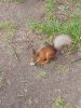 IMG_20170528_153234.thumb.jpg.880cf11d4bbd0833fedc9d2feee411a2.jpg
