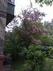 IMG_20170528_154634.thumb.jpg.1337d51b28819c7c0924c2c68ff1ed3a.jpg