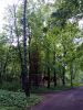 IMG_20170528_161709.thumb.jpg.6058d9ffcbeed024aae736f5551ecb29.jpg
