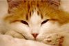 IMG_2064.PNG