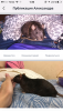 IMG_4605.thumb.PNG.5c8449c5fd51f9e6ce5e266fb0832127.PNG