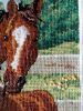 IMG_9022.thumb.JPG.34fdb7ec8f5a6b337bb18838f871164e.JPG