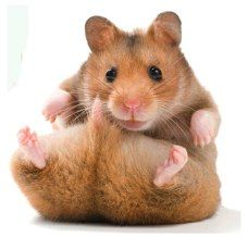 Аватар internet_katalog@mail.ru