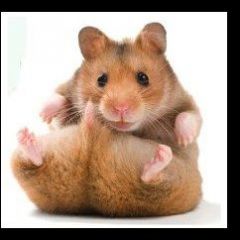 internet_katalog@mail.ru