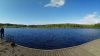 PANO_20170527_164520.thumb.jpg.da5991e5c44923f073da13a8b35dd75d.jpg