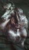 P_20170512_165901_vHDR_Auto.thumb.jpg.3b8f76b85b1e90a1cc50e0138b282777.jpg