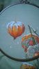 WP_20170204_001.jpg