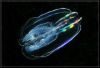 a7086a4bc5de26fbeaa276e41ee.thumb.jpg.3b5d6b1ad19f2964da2bdccdd2ca9757.jpg