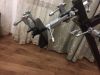 image.thumb.jpeg.159f8eda66f59351fc973e03ae7cf471.jpeg