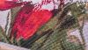 macro_01.thumb.jpg.3a98aed32955a29c48c71c86782391f4.jpg