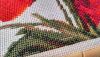 macro_04.thumb.jpg.d48152cb740335cf6ad4cc0a4e0d1968.jpg