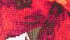 macro_05.thumb.jpg.de5576292fda6ada15a6a2577c997759.jpg