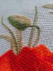 macro_11.thumb.jpg.aa575806155c2acdead8dce8e168c4b1.jpg