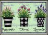 travjanoe-trio-nabor-dlja-vyshivanija-dimensions.thumb.jpg.851c35a0b012897565b53c1af5562c31.jpg
