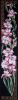 0.thumb.jpg.4aa7be0263c4ad191123b1b1e21a9c3a.jpg