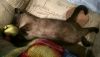 03.thumb.jpg.7c363cfead45cbb01da7994529767af2.jpg