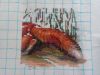 1.thumb.JPG.00c4f079ec9cd381d297e0ddc18802b6.JPG