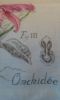 1.thumb.jpg.b5201ba62c6a6b35db79c45b4ffe86da.jpg
