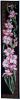 13.thumb.jpg.67f687f627836e57fe0922fdfe95b7c7.jpg
