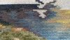 2.thumb.JPG.bd69dc2f7289e63ece1b2ff1251f1ce7.JPG