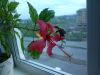 2017-05-14-1723.jpg