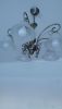 20170208_163135.jpg