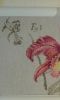 20170415_075827.thumb.jpg.ba677b247d1b7d860c44afeb57b96e8c.jpg