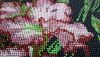 20170507_111641.thumb.jpg.6663905e9676d17ad94720e212bd0daf.jpg